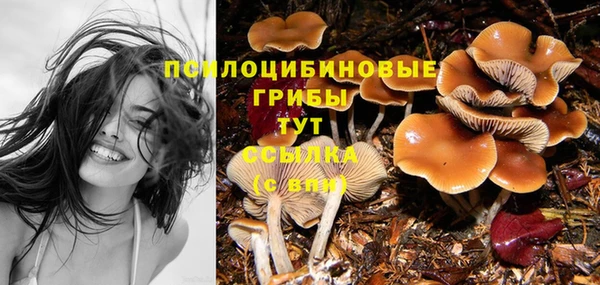 бутират Абинск