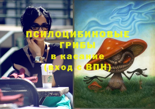 гашик Михайловка