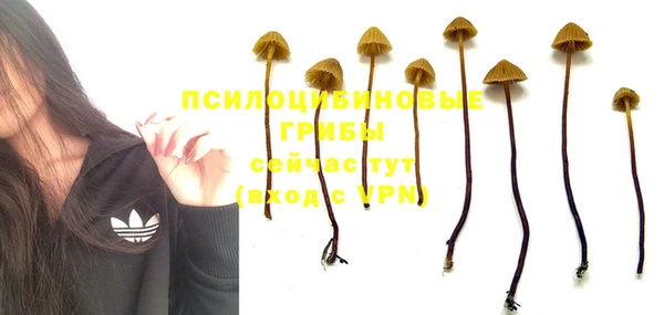 стаф Алексин