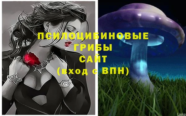 каннабис Алзамай