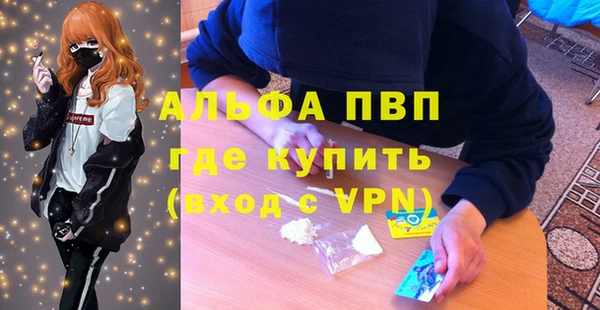 стаф Алексин