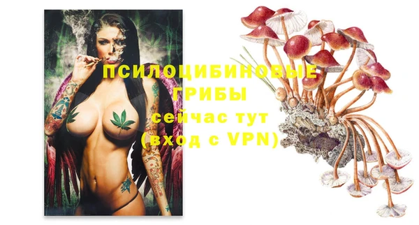 гашик Михайловка