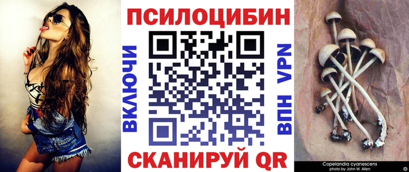 Псилоцибиновые грибы мицелий  где купить наркоту  Алзамай 