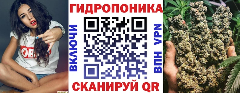 где найти   Алзамай  Бошки марихуана конопля 